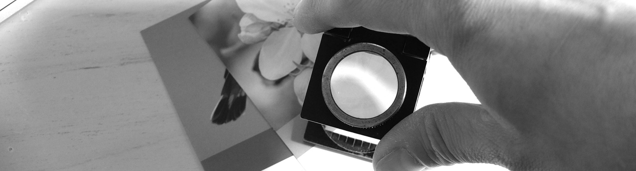 print magnifier graphic design and DTP