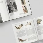 Coffee table book – history non-fiction interior layout